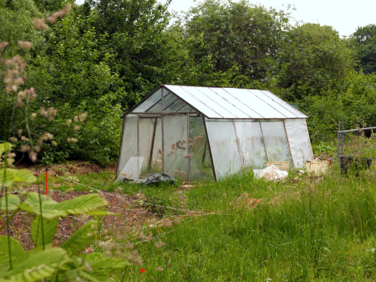 Gemeinschaftsgarten Aufzuchtshaus Alt Ungnade